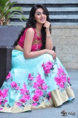 Nikki Galrani at Krishnashtami Movie Platinum Disc Function